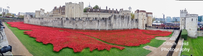 Panorama of red ceramic rose art installation in the moat of The Tower of London, UK.