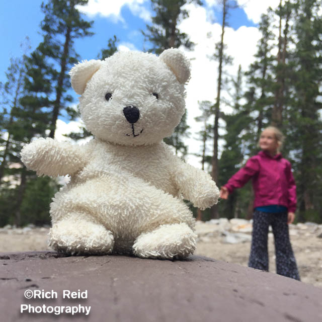 KNOT FOR SALE.  Juxiposed stuffie big bear at Mammoth Lakes, California.
